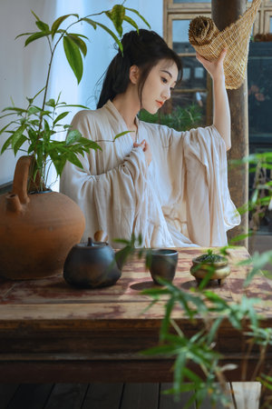 美人与野兽 电影