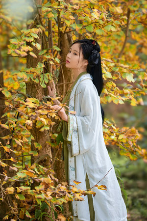 一级片黄色