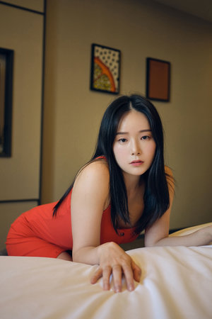 百花楼飞言情