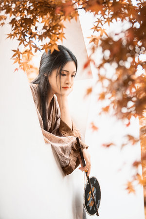 欧美丝袜videohd