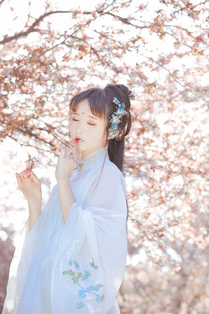 免费一级A毛片在线播不卡