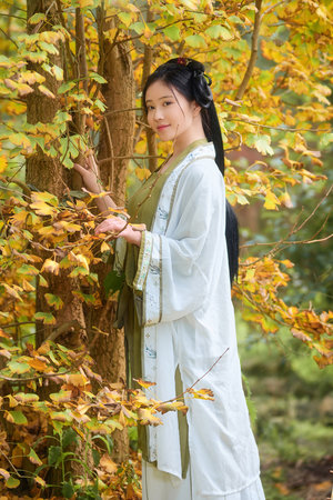 同学情谊永久的诗句
