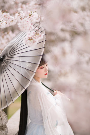 人狗交小说