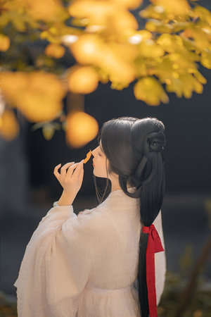 齐天大性盘丝洞