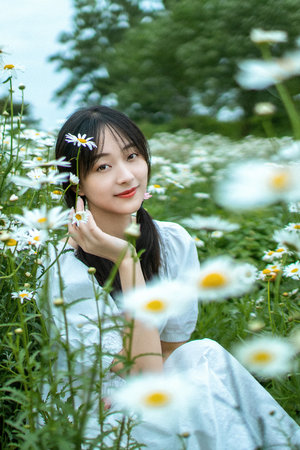 东邪西毒全集